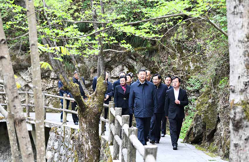 4月20日，中共中央總書記、國家主席、中央軍委主席習(xí)近平在陝西考察調(diào)研。這是習(xí)近平在位於商洛市柞水縣的秦嶺牛背梁國家級自然保護區(qū)，考察秦嶺生態(tài)保護情況。 新華社記者 謝環(huán)馳 攝