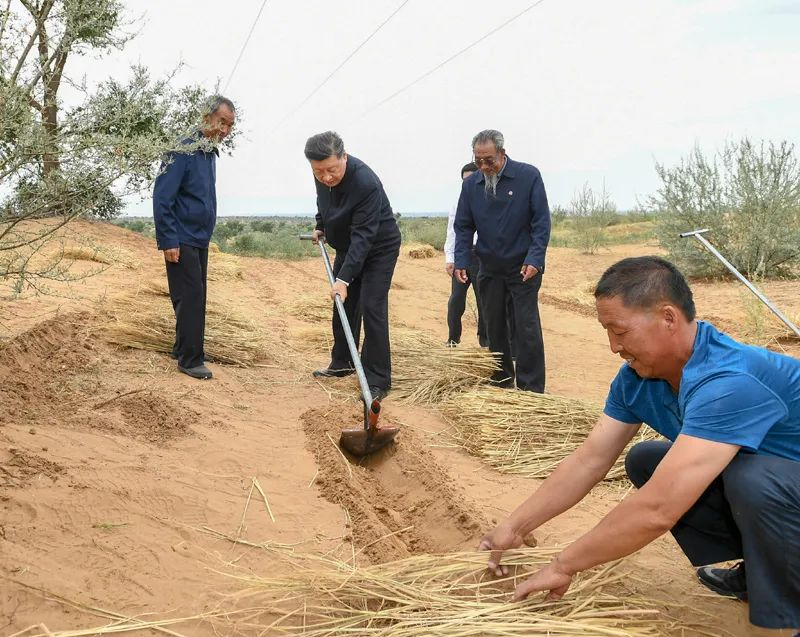 2019年8月21日，習近平來(lái)到甘肅省武威市古浪縣八步沙林場(chǎng)，實(shí)地察看當地治沙造林、生態(tài)保護等情況。新華社記者 謝環(huán)馳 攝