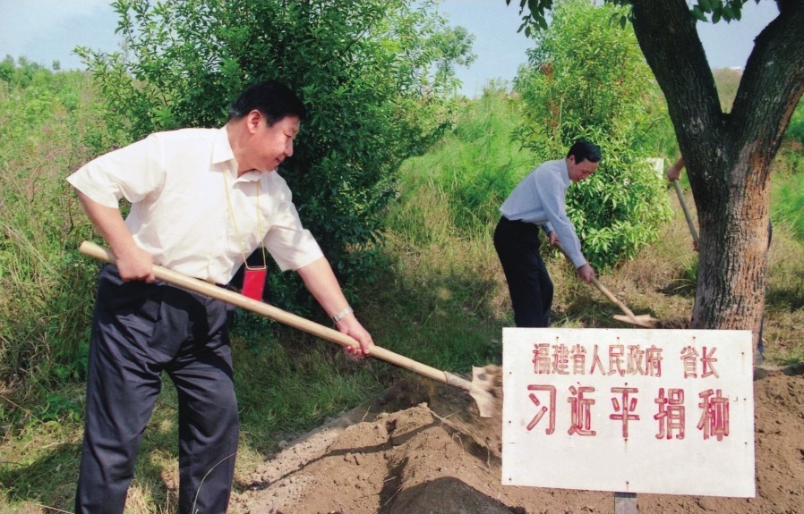 2001年10月，習近平在龍巖市長(cháng)汀縣調研水土流失治理工作，在河田世紀生態(tài)園為樹(shù)培土。圖源：《習近平在福建（下）》