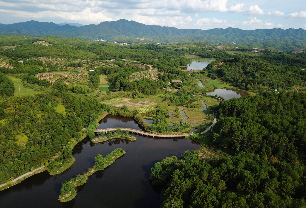 福建省龍巖市長(cháng)汀縣的長(cháng)汀汀江國家濕地公園景色（2020年7月28日攝，無(wú)人機照片）。新華社記者 魏培全 攝